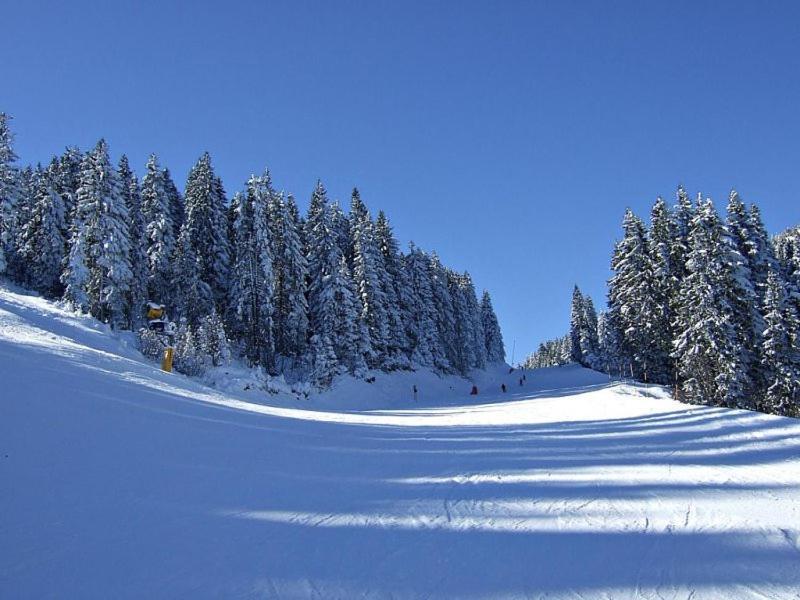 L&N Apartmani Kopaonik-Milmari Resort 외부 사진