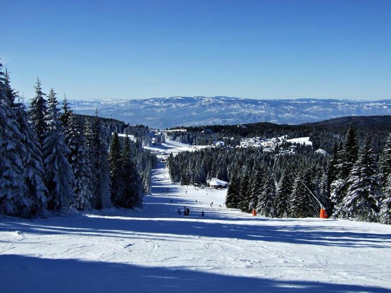 L&N Apartmani Kopaonik-Milmari Resort 외부 사진
