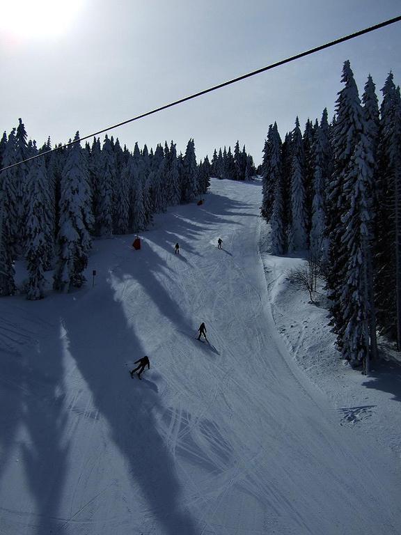 L&N Apartmani Kopaonik-Milmari Resort 외부 사진
